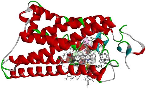 Molecular Docking Study on the Interaction of Rhodopsin-like Receptors ...