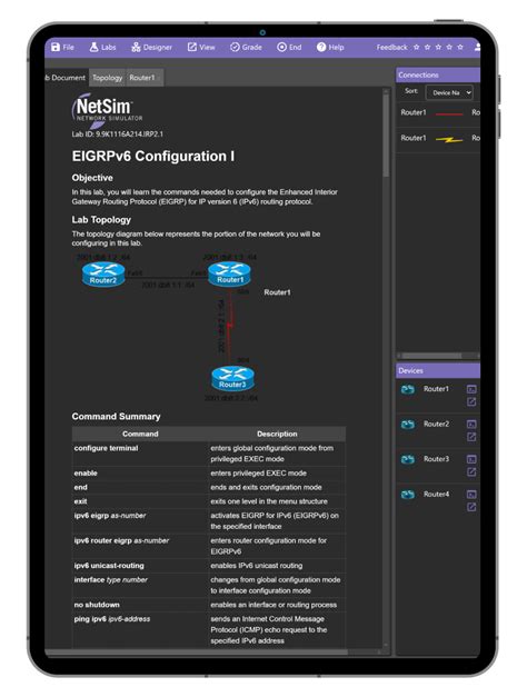 Image result for NetLab NetSim Network