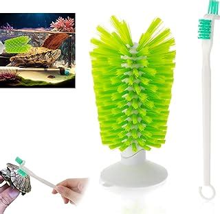 Image result for Cleaning Turtle Shell