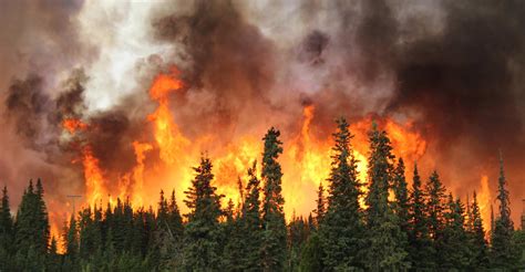 Wildfire Map Spotlight: Fairbanks Wildfires
