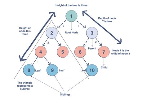 Image result for Trees Data Structures Java