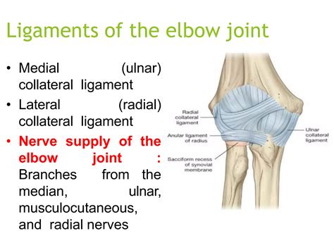 ELBOW JOINT final.pptx