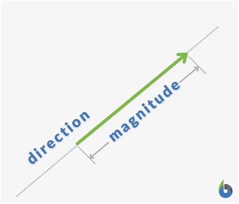 Image result for What Is Vector