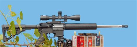 Image result for 17 HMR Exploding