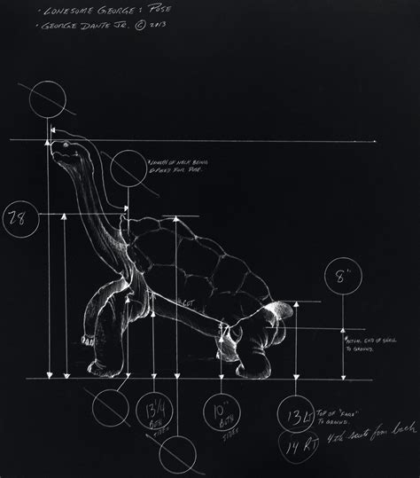 Preserving Lonesome George – AMNH (2015) | Natural History Nature ...