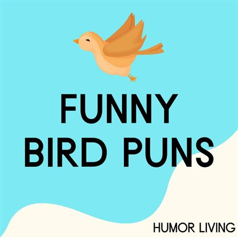 130+ Funny Bird Puns That’ll Leave You Flying With Laughter - Humor Living