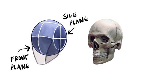 Loomis Method Tutorial 的图像结果