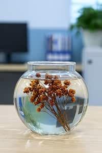 SHOBHANA ENTERPRISES Crystal Clear Glass Fish or Terrarium Round Bowl ...