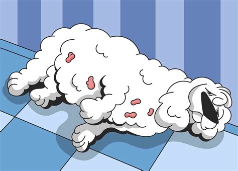 How to Comfort a Dog with Pancreatitis?