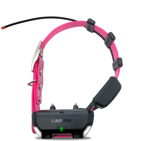 Garmin TT25 Mini Tracking and Training Collar with Short Flex Band ...