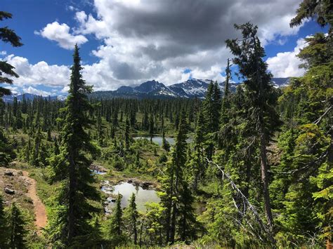 Strathcona Park British Columbia Wallpapers - Wallpaper Cave