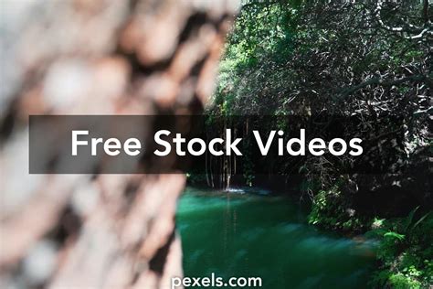 Image result for Environmental Clips