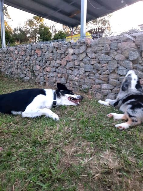 Lexi (@miss_lexi_hart) • Instagram photos and videos