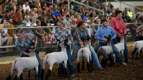 2024 Ross County Fair in pictures