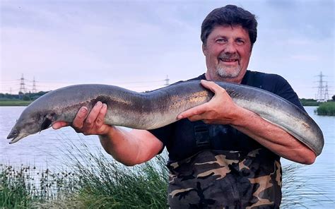 He caught world record freshwater eel in Britain