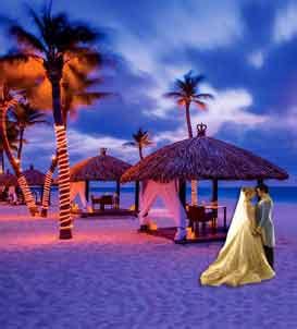 Book Flights, Hotels, Bus and Holiday Packages Online -MyTripBookers