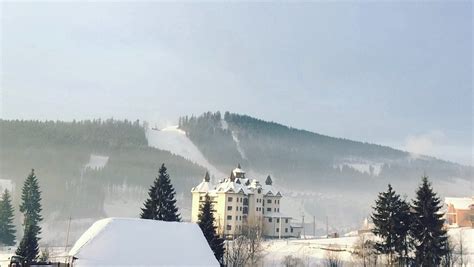 HOTEL ALPIN (Polyanytsya) - Lodge Reviews, Photos, Rate Comparison ...