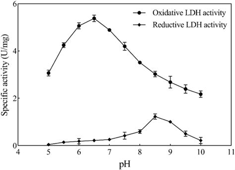 Image result for Calculate LDH Enzyme Activity Example