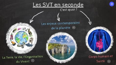 Programme SVT Seconde 的图像结果