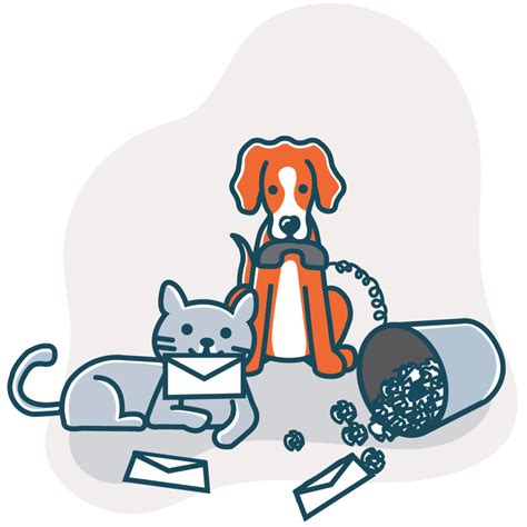 Contact - Huntingdon County Humane Society