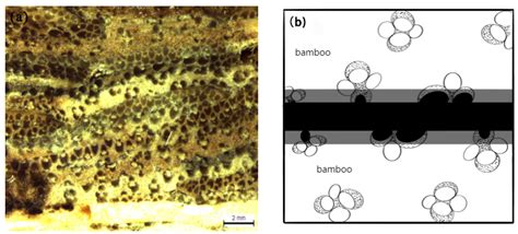 Research on Gluing Properties of Thick Bamboo-Wood-Oriented Strand Boards