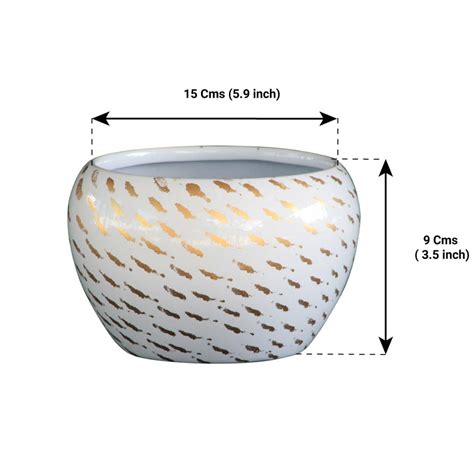 Table Top Planter Bowl With Saucer – TrustBasket