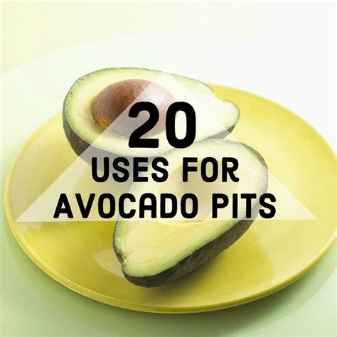 Can You Eat Avocado Seeds