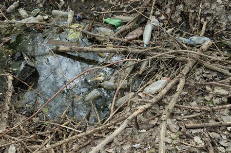 Waste Pollution 的图像结果