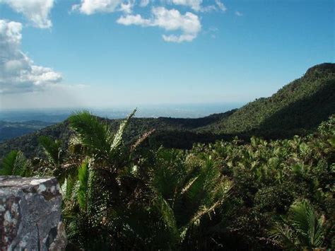 El Yunque National Forest Photos - Featured Images of El Yunque ...
