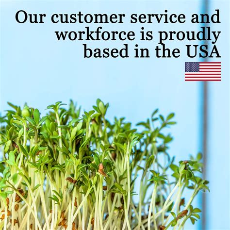 Handy Pantry 50-Pack 1010 Plastic Plant Trays - Multi-purpose India | Ubuy