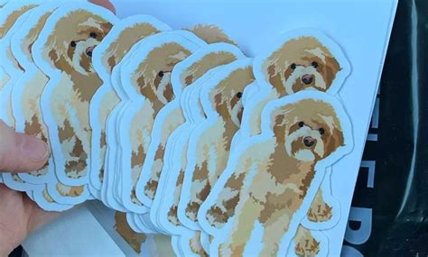 Image result for Canva Sticker Design Tutorial