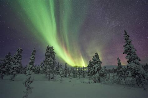Best time to visit Sweden | Rough Guides | Rough Guides