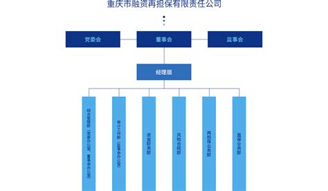 组织架构 重庆市融资再担保有限责任公司