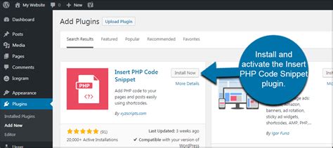 Add PHP Code to a WordPress Page 的图像结果