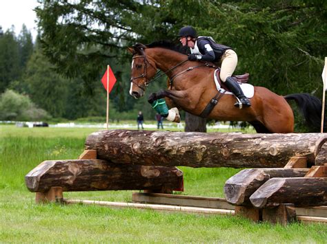 Cross-Country Equestrian Jumping