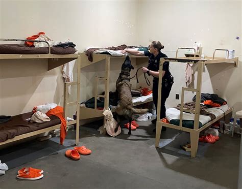 Virginia Beach Sheriff’s Office held its jail search to look for ...