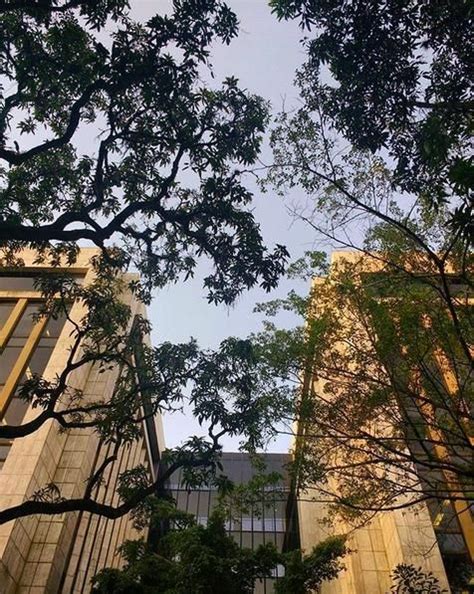 IBM Office Photos | Glassdoor