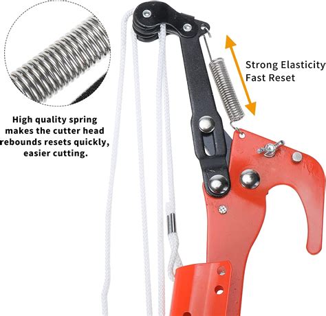 Buy SanSanYa Tree Pruner Shears Head Garden Tree Pruning Saw and Pruner ...