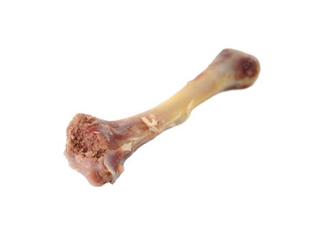 Chicken Leg Bones Chicken Fat Isolated, Fried Chicken, Chicken Leg ...