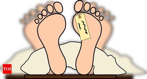 Boy climbs tree in Palghar for cell signal, gets killed after lightning ...