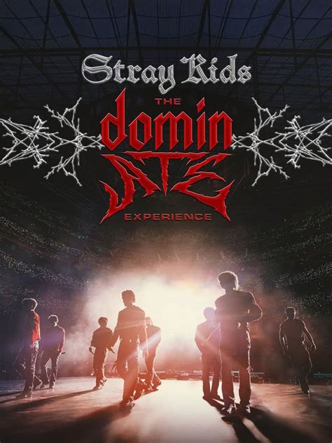 Stray Kids: The dominATE Experience - Movie Synopsis, Cast & Crew ...