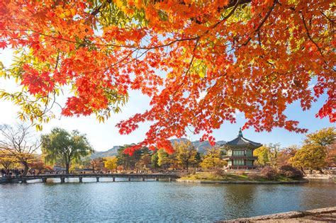Seoul Weather - When Is The Best Time To Go To Seoul – Go Guides