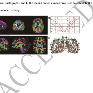 Local Global Over Time 的图像结果