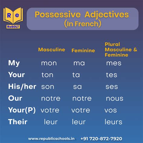 Possessive Adjectives in French