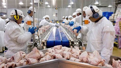 Workers at Tyson poultry plant in Arkansas strike against plant’s ...
