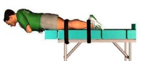 How to Muscle Test Lumbar Extensor Muscles 的图像结果