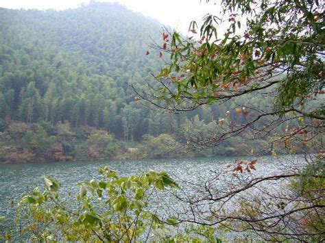 Tianmu Lake (Liyang) - 2020 What to Know Before You Go (with Photos ...