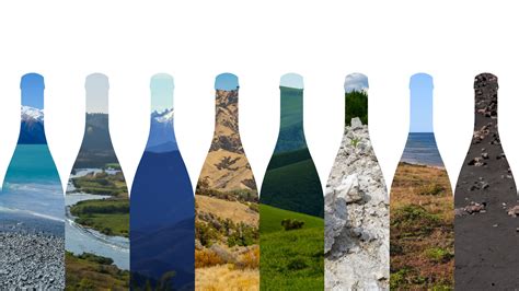 How Does Climate Change Affect Wine Production?