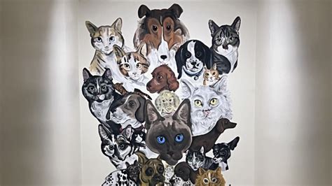 Berkshire Veterinary Hospital Patient Gallery | Vet Clinic In ...