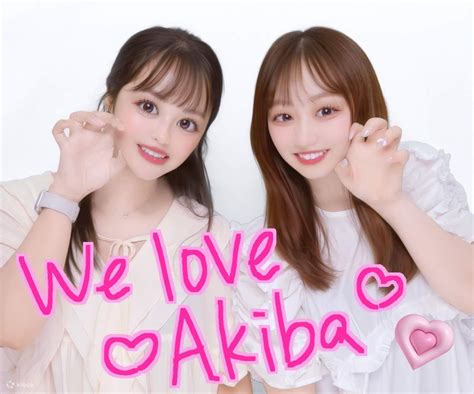 Akihabara Half-Day Tour: Maid Café, Arcade Games & Gacha Experience ...